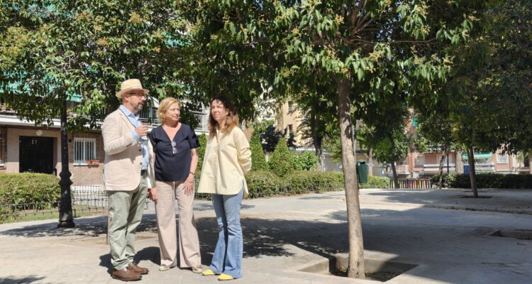 Visita a las obras de la calle de Tenerife