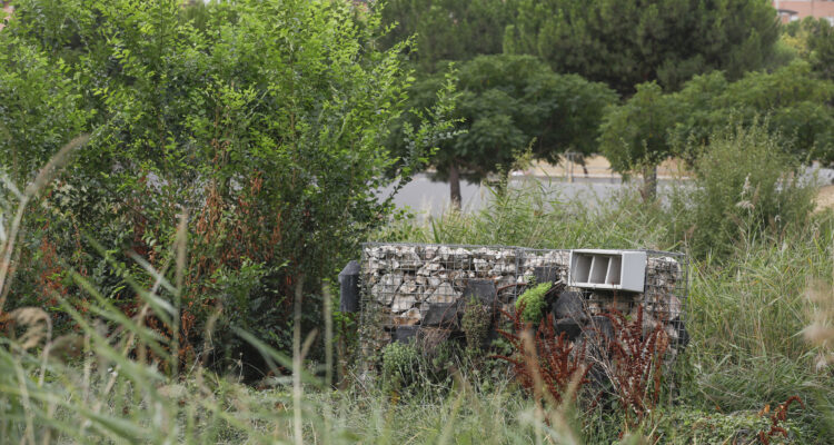 Muro de biodiversidad del parque Emperatriz María de Austria