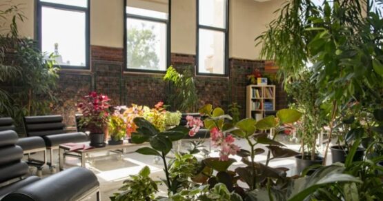 Refugio Vegetal instalado en CentroCentro (Madrid) en el verano de 2025