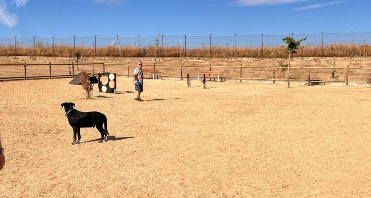 Zona canina en distrito de Latina