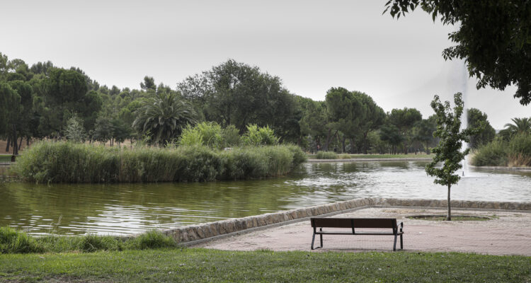Zona del lago parque de Carabanchel