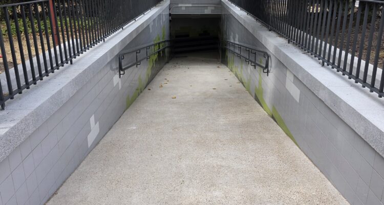 Paso peatonal Ciudad Universitaria