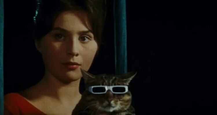 Cine checo 'Un día, un gato'