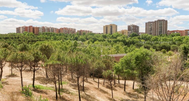 Mirador de la Cuña Verde de O’Donnell. Foto de Madrid Film Office / Javier Bravo
