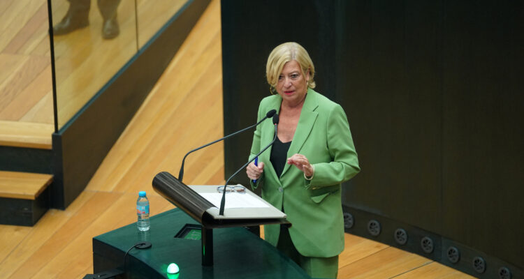 García Romero en el Pleno de hoy