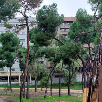 Zona arbolada en Pinar del Rey con edificios de fondo