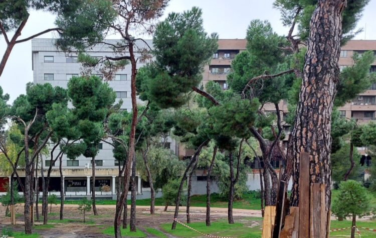 Zona arbolada en Pinar del Rey con edificios de fondo