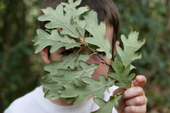 Un niño con una hoja mirando a través