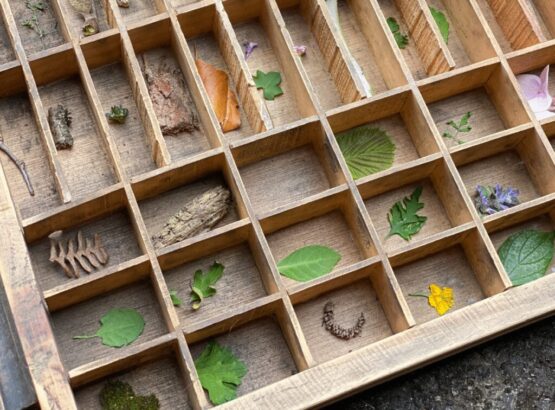 Imagen de esta actividad 