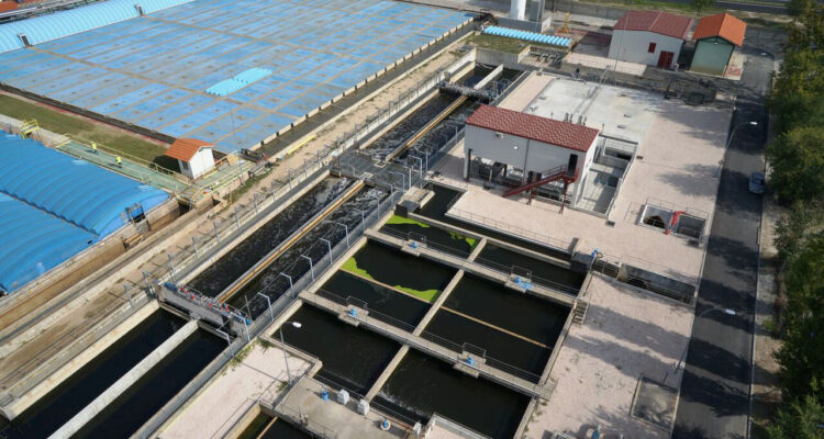 Imagen de archivo ERAR Viveros