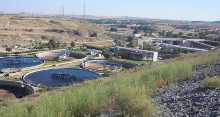 Imagen de archivo de ERAR LA Gavia