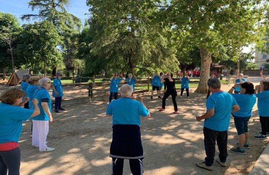 Mayores haciendo deporte en círculo en un parque