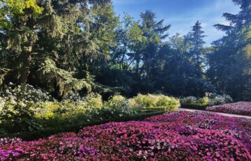 Jardín de Vista Alegre