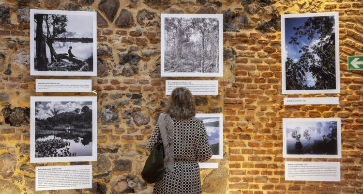 Imagen de la exposición Guardianes de los bosques