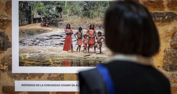 Imagen de la exposición Guardianes de los bosques