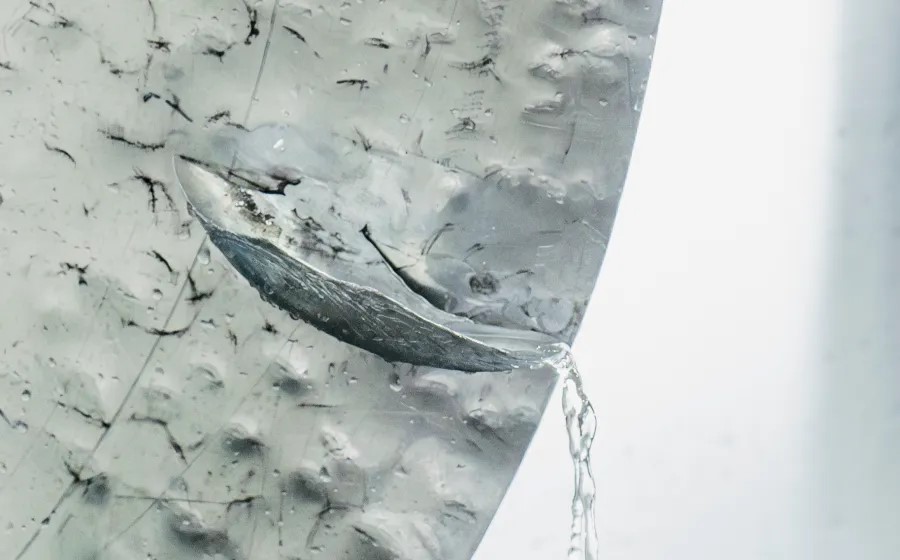 Lengua en coro, cuenta es una intervención site-specific para Nave 0