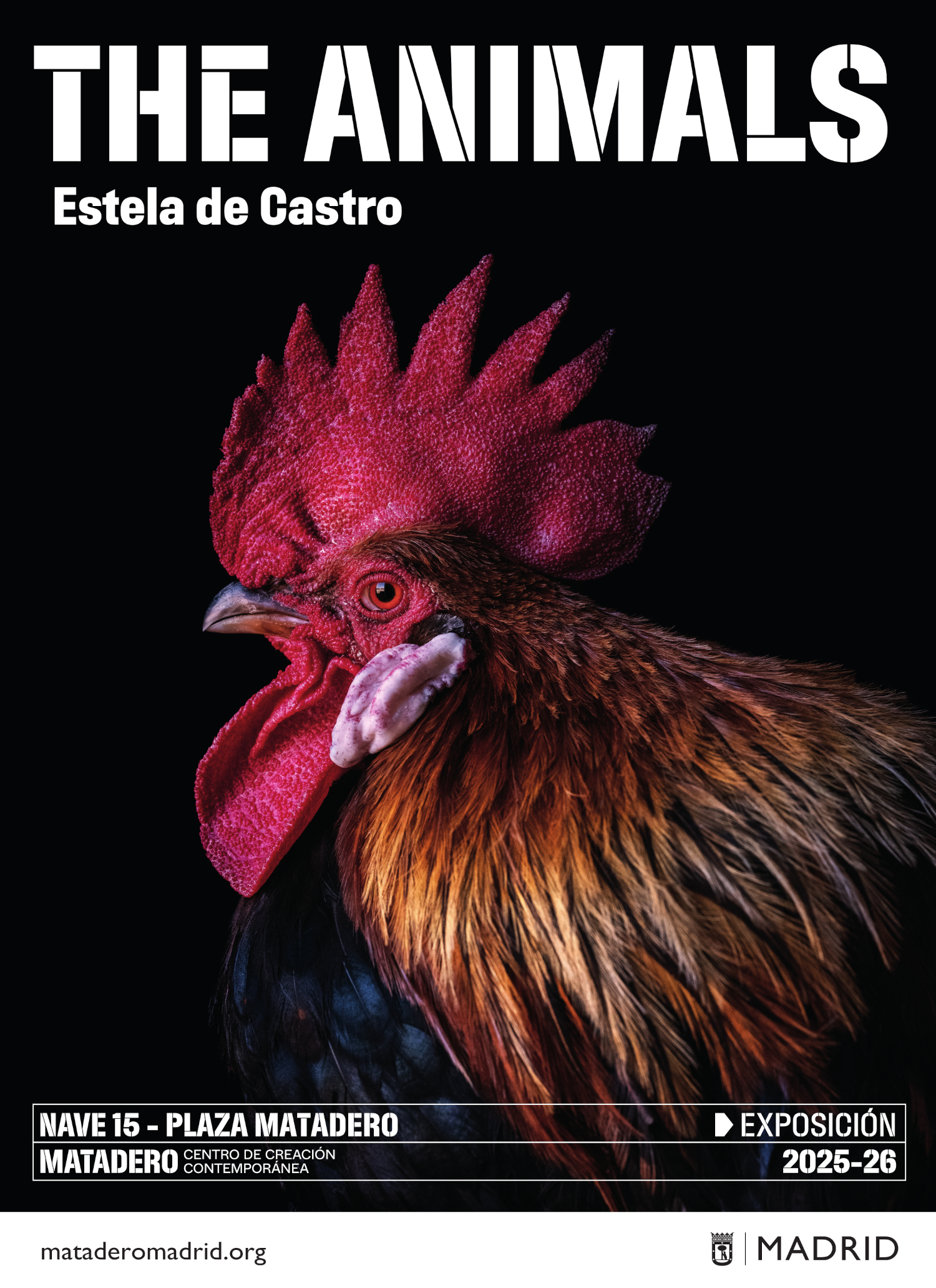 Cartel de 'The Animals'