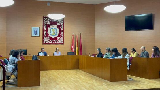 Pleno del Consejo Local de Derechos de la Infancia y Adolescencia del distrito