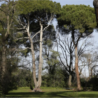 Parque El Capricho. Imagen de archivo