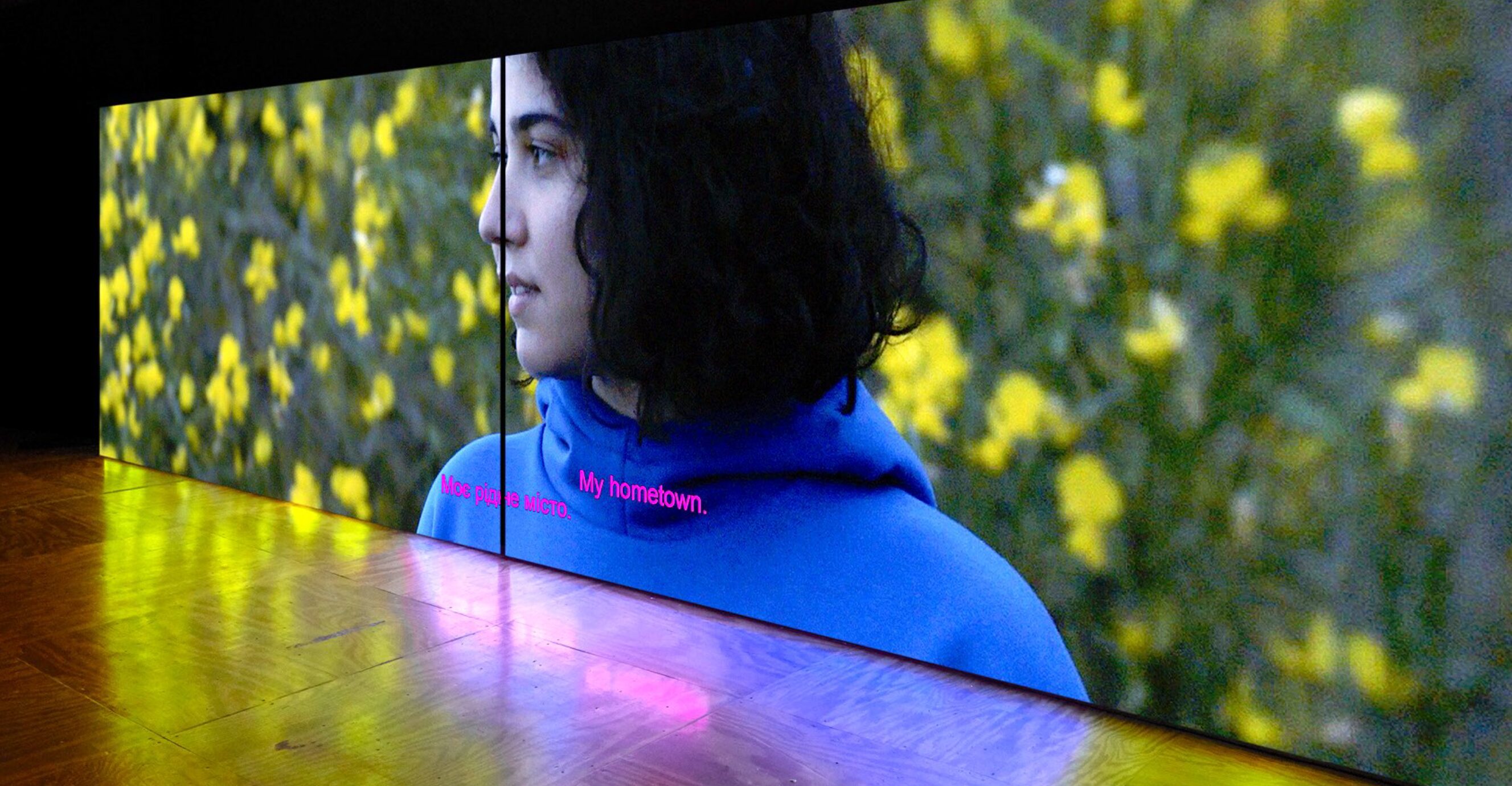 Collapse of the Weave Function, del colectivo artístico Metahaven