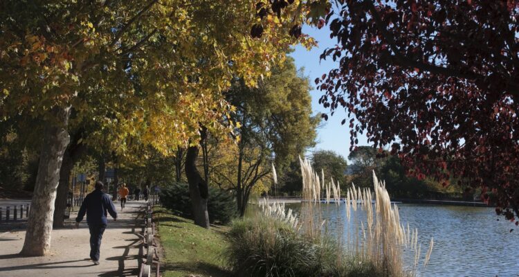 Casa de Campo. Imagen de Madrid Film Office