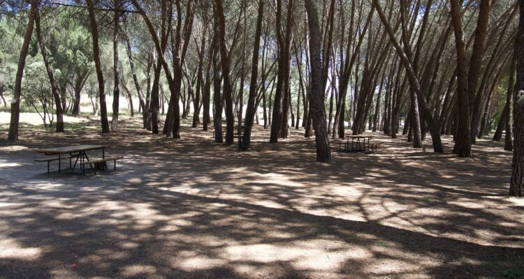 Casa de Campo. Imagen de Madrid Film Office