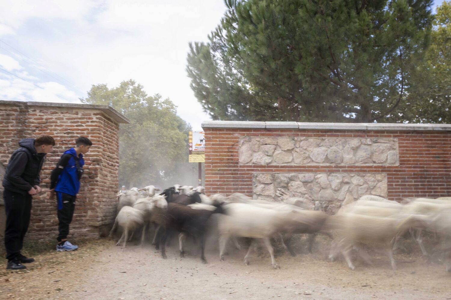 Foto cedida por Ayuntamiento de Madrid