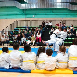 Exhibición de las escuelas de judo del distrito .