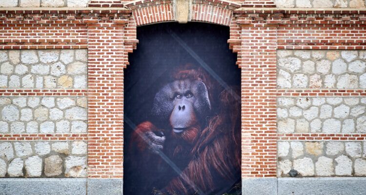 La muestra fotográfica 'The Animals', en la fachada de Nave 15