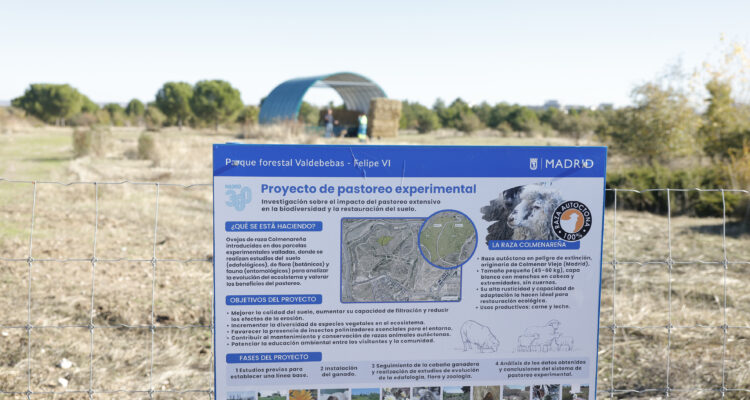 Cartel Proyecto de pastoreo