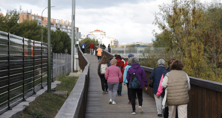 Ciudadanía utilizando pasarela