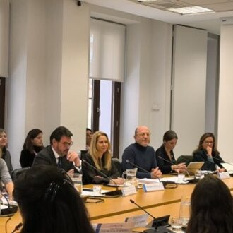 Fernández en la Comisión de Presupuestos del Área de Políticas Sociales