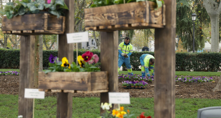 Especies plantadas en temporada otoño-invierno