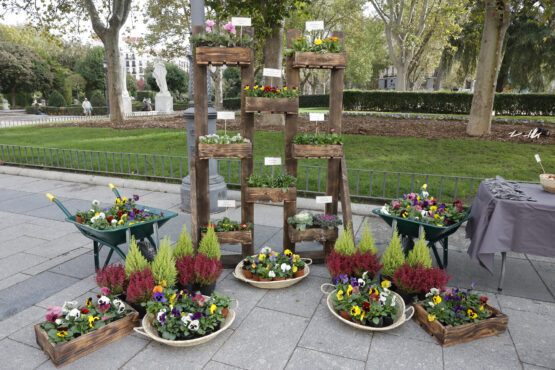 Exposición diferentes especies plantación temporada otoño-invierno