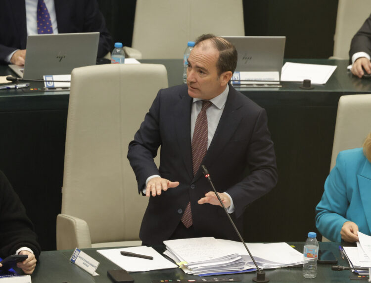 El delegado de Urbanismo, Medio Ambiente y Movilidad, Borja Carabante