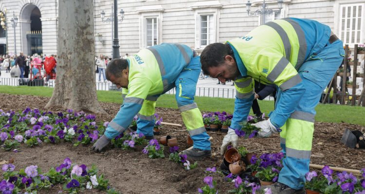 Operarios municipales durante la plantación especies otoño-invierno