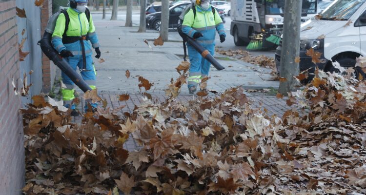 Operarios municipales realizando labores de recogida de la hoja en campaña 2025-26