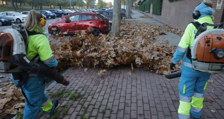 Operarios municipales realizando trabajo de recogida de la hoja