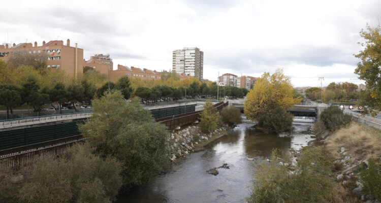 Perspectiva general de la pasarela