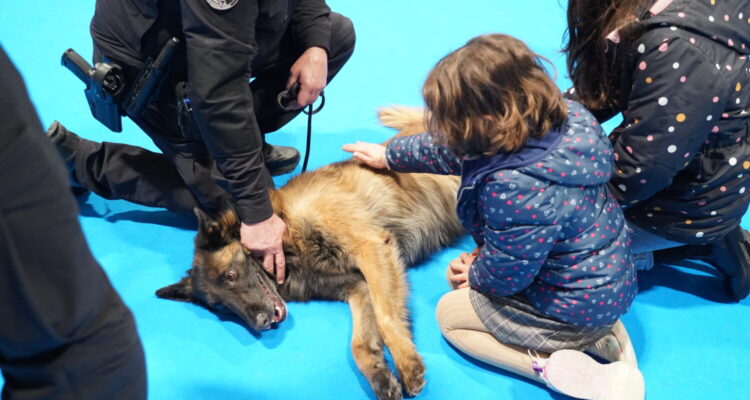 Una niña acaricia a un perro policía en una de las jornadas de Policía Municipal