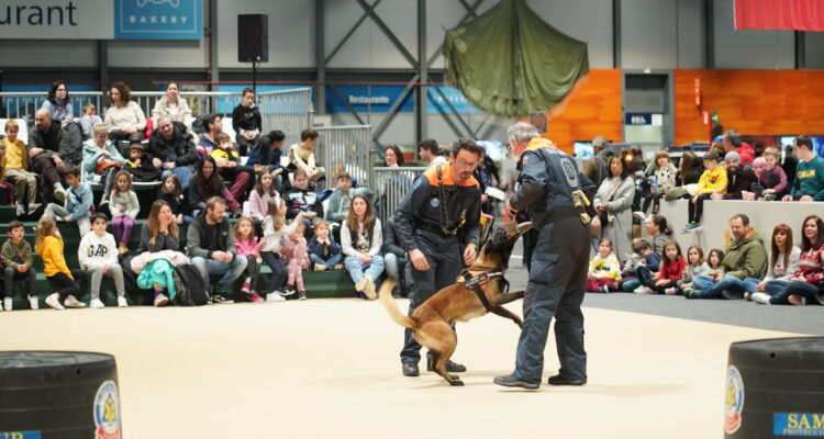 Simulacro con perros de Policía Municipal en una evento