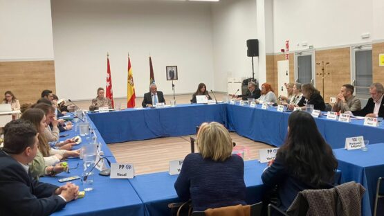 Pleno de Presupuestos de Carabanchel