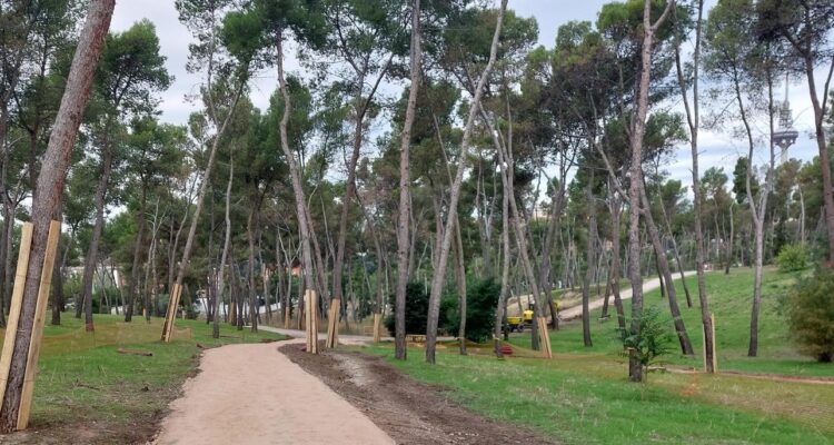 Zona arbolada en Pinar de la Elipa