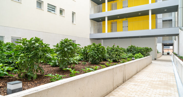 Imagen de la promoción de EMVS Madrid Cañaveral 6, en Vicálvaro