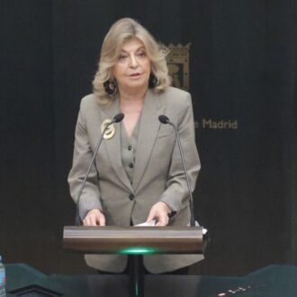 Hidalgo interviene en el Pleno municipal extraordinario de este lunes