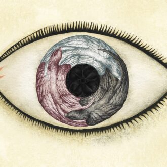 La exposición Wunderkammer, de Ana Juan, estrena la agenda de 2026