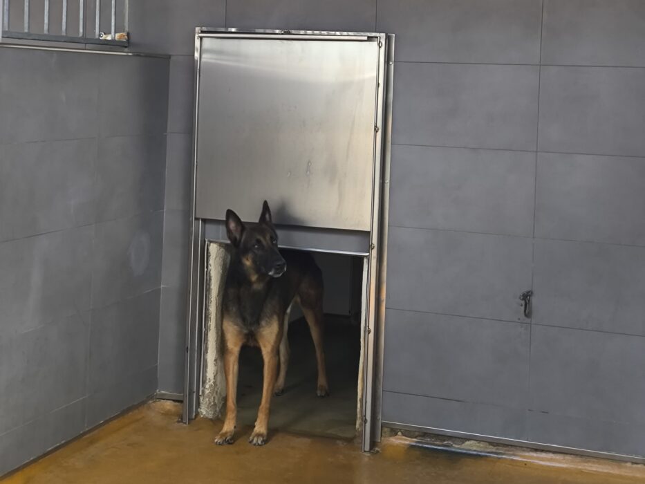 Instalaciones de los perros policía de la Sección Canina de la Policía Municipal de Madrid