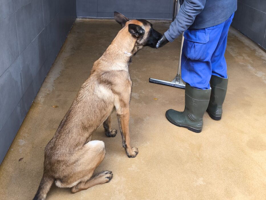 Instalaciones de los perros policía de la Sección Canina de la Policía Municipal de Madrid