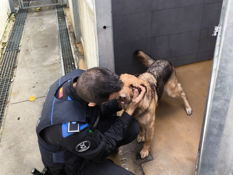 Instalaciones de los perros policía de la Sección Canina de la Policía Municipal de Madrid
