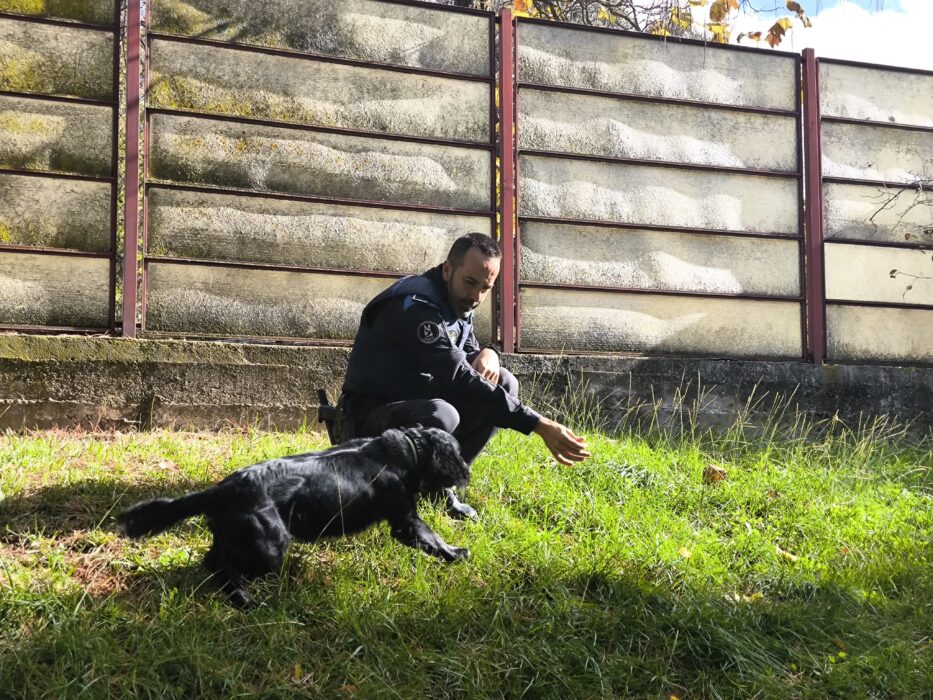 Instalaciones de los perros policía de la Sección Canina de la Policía Municipal de Madrid